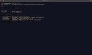 Screenshot of SEO tools help output.